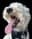 v1 favicon